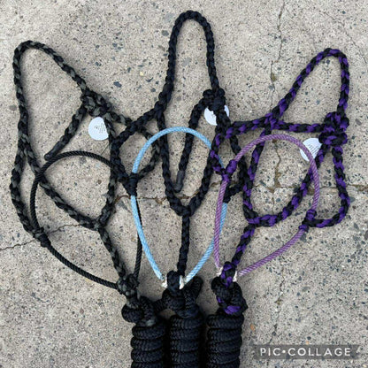 Lariat Halters w/ Yacht Rope Leads