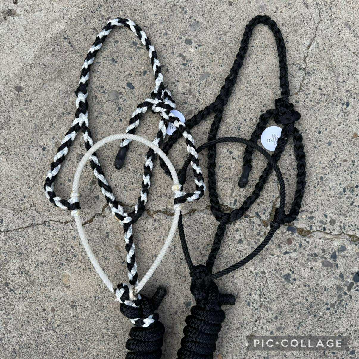Lariat Halters w/ Yacht Rope Leads