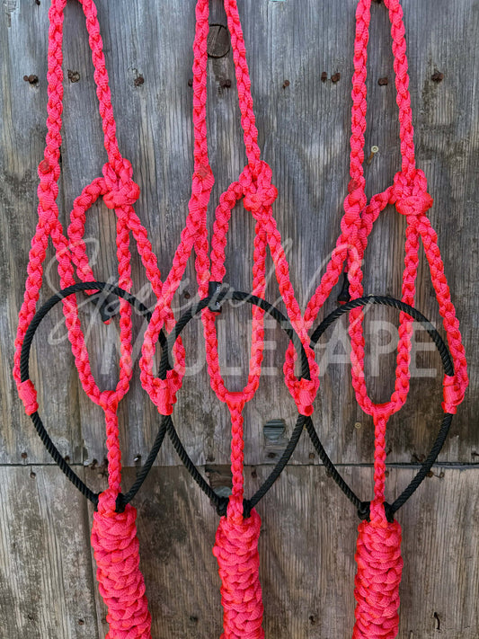 Neon Pink Lariat Halter