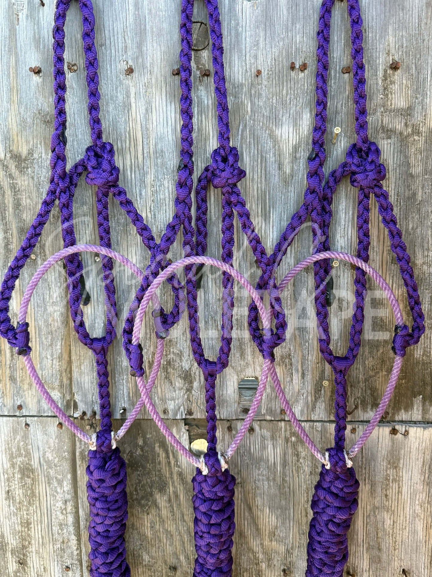 Color Matched Purple Lariat Halter