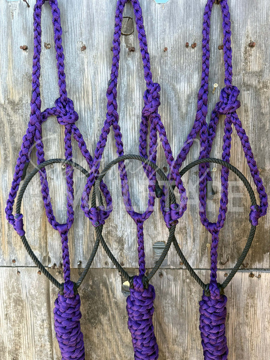 Royal Purple Lariat Halter
