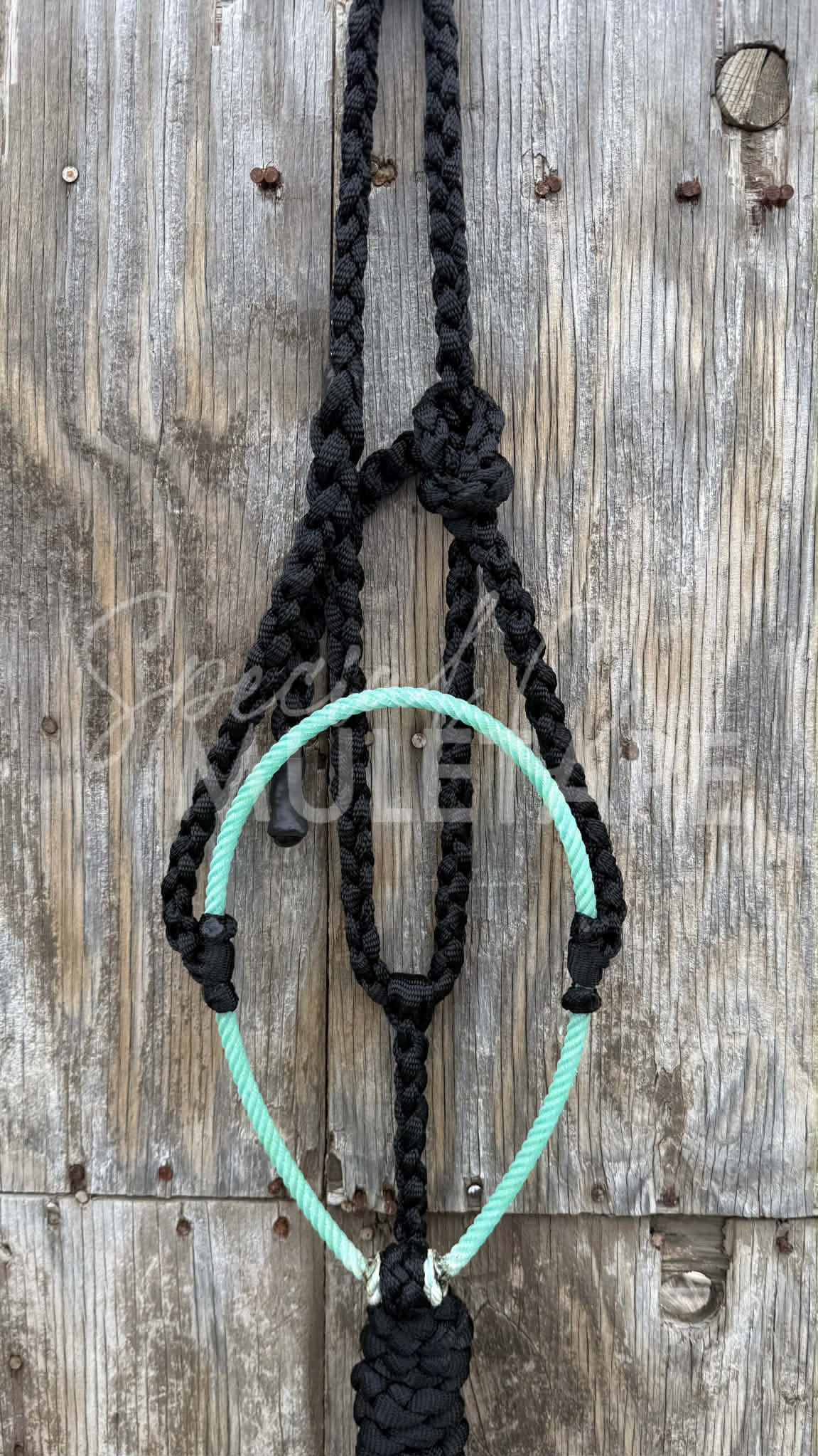 Color Pop Lariat Halter Collection