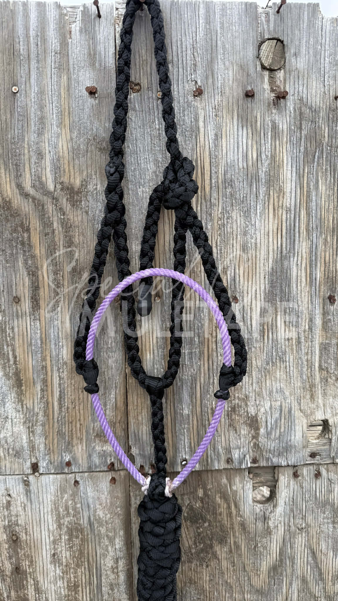Color Pop Lariat Halter Collection
