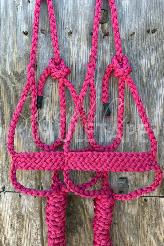 **NEW**Fuchsia Brute