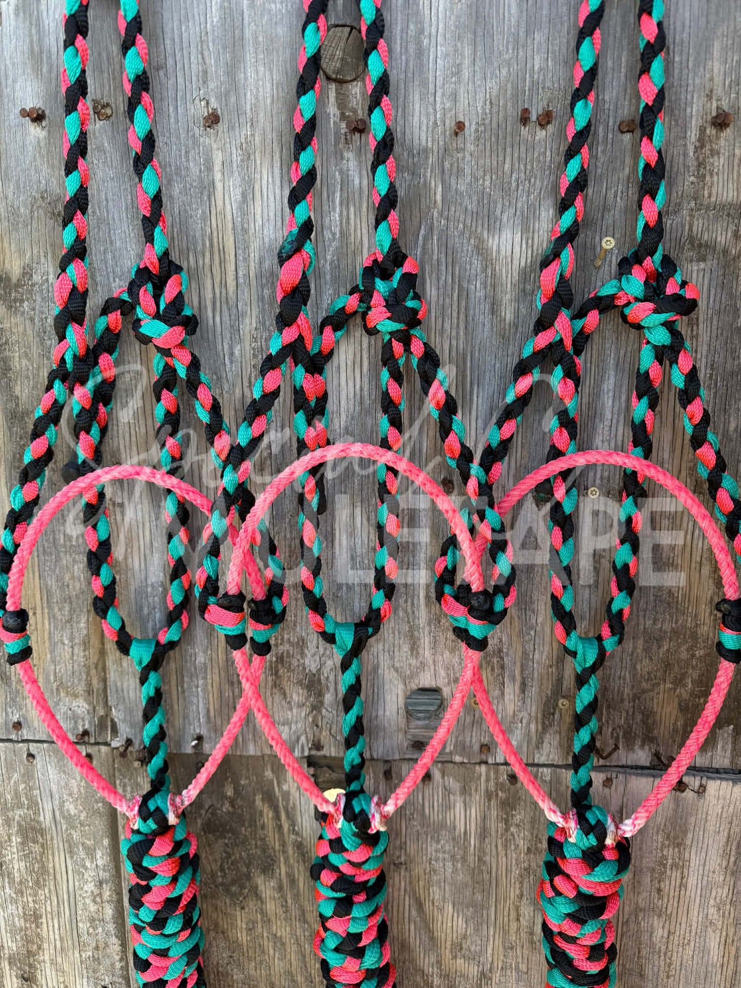 Black, Teal & Neon Pink Lariat Halter