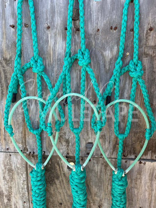 Color Matched Teal Lariat Halter