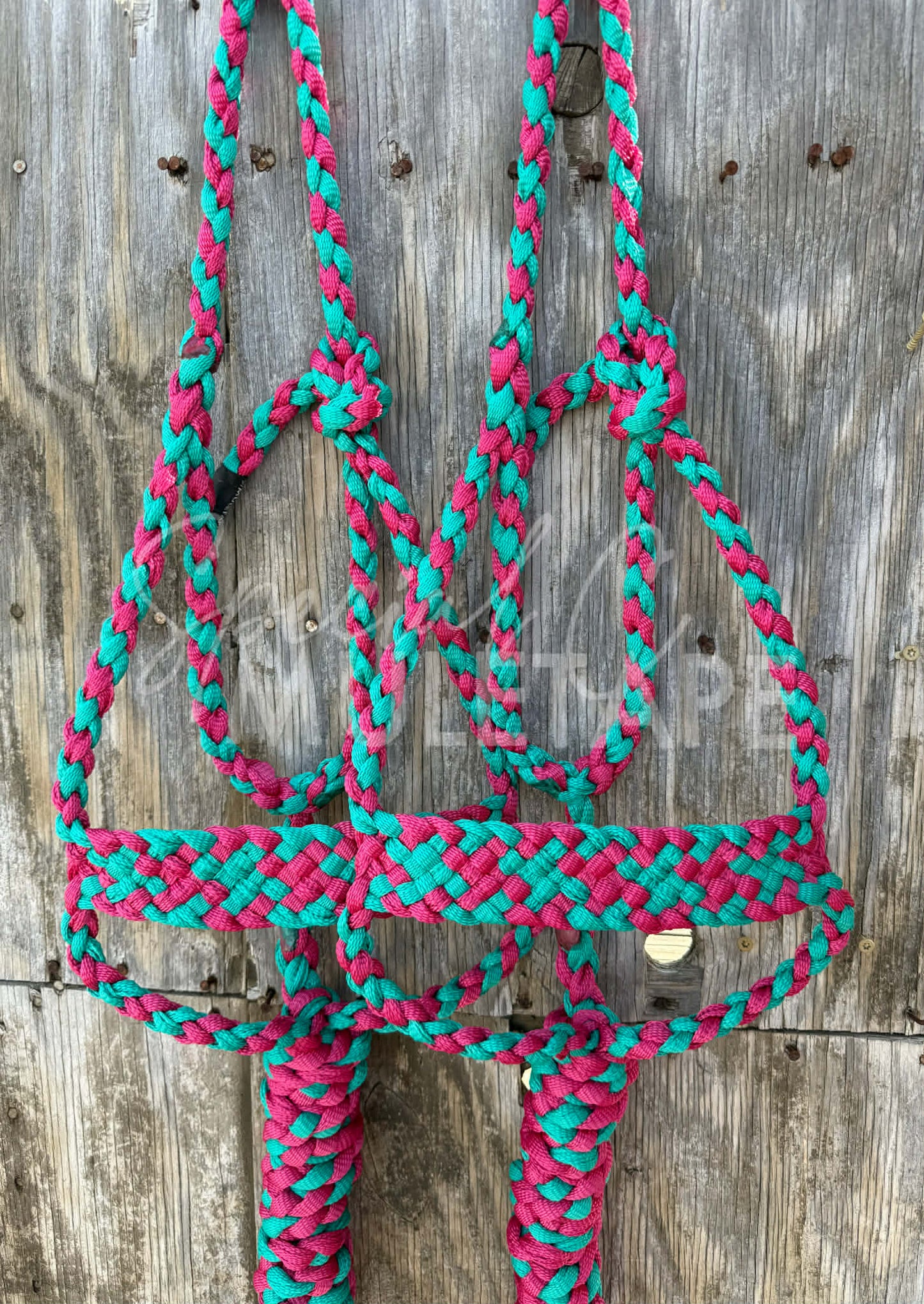 Teal & Fuchsia Brute