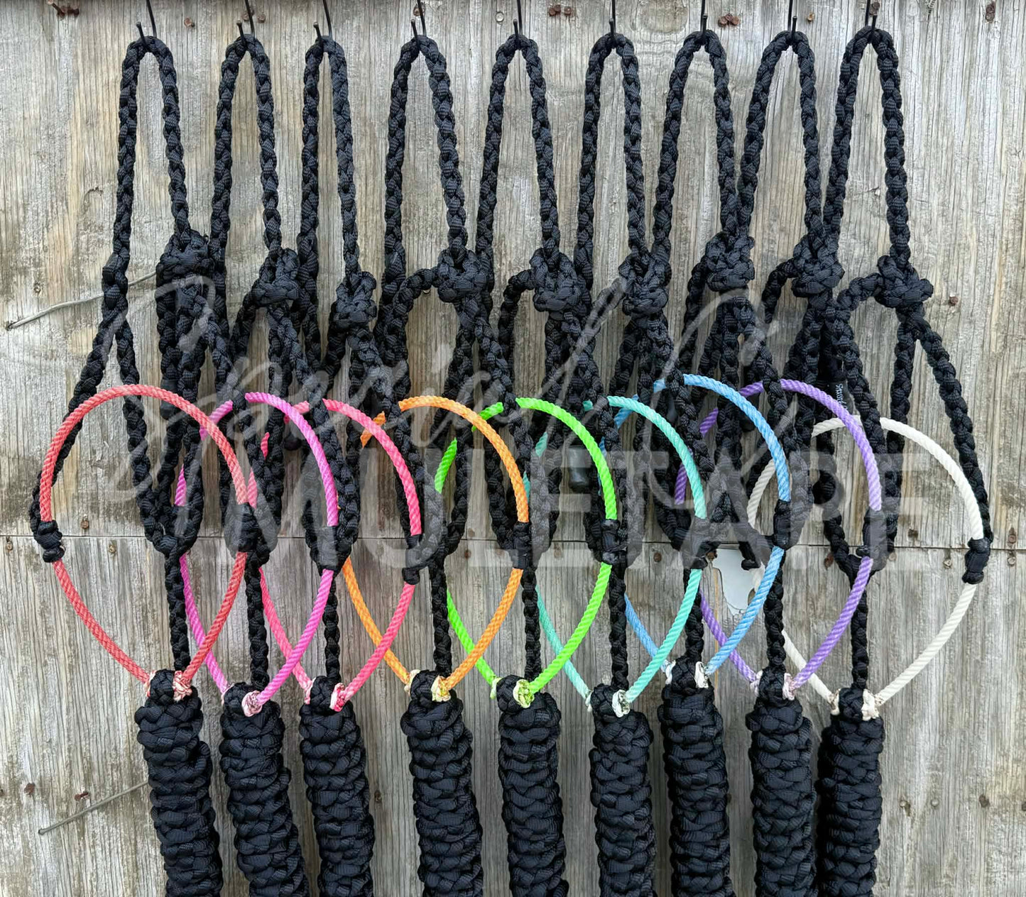 Color Pop Lariat Halter Collection