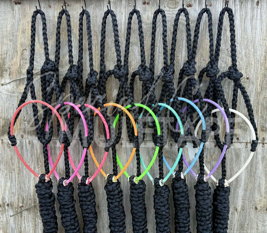 Color Pop Lariat Halter Collection