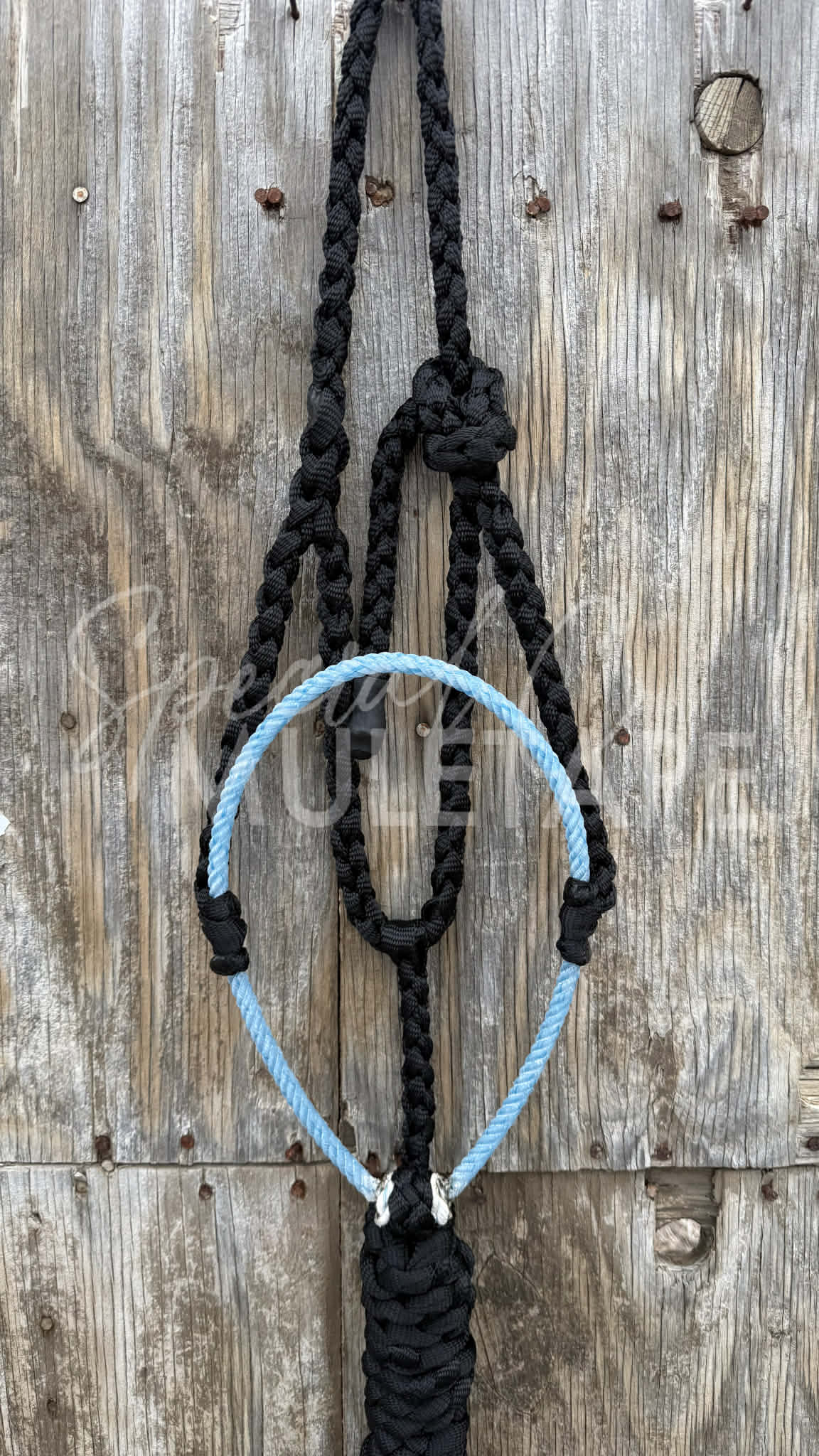Color Pop Lariat Halter Collection