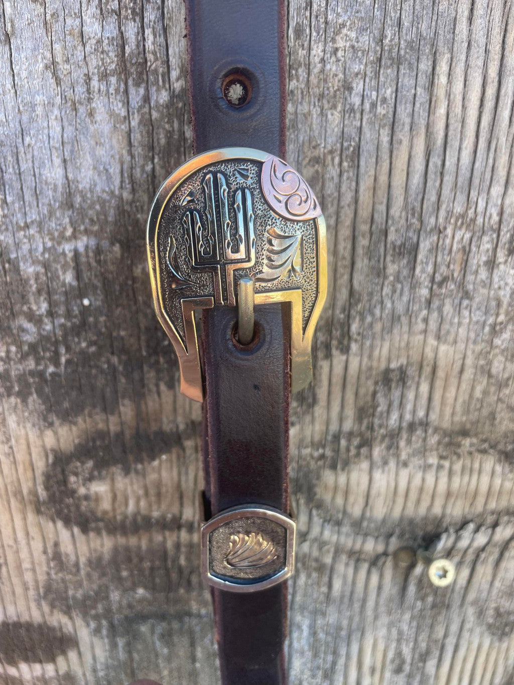 Luster Cactus Sun Hot Oil Headstall